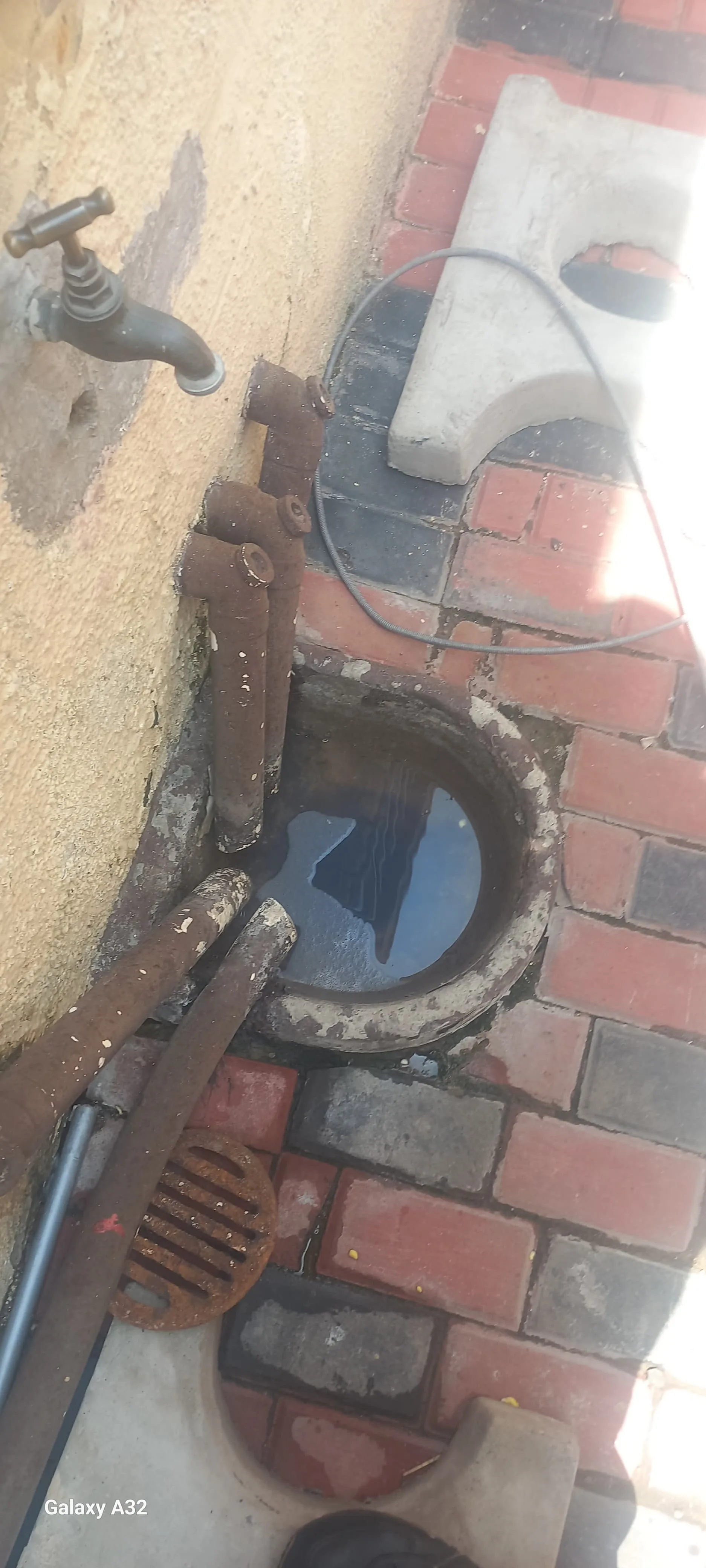 Tree roots removed from a blocked drain pipe