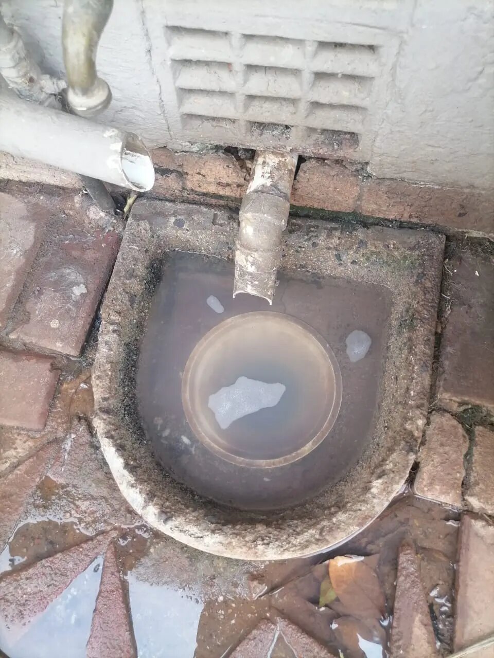 How Often Should I Clean My Drains?