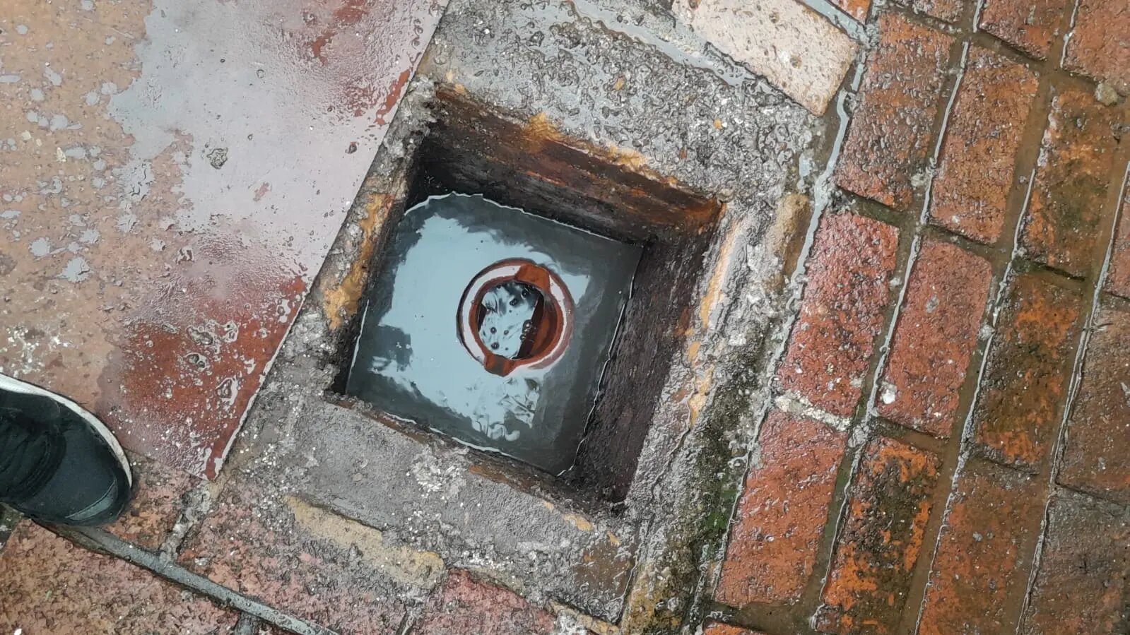 Why is Timely Drain Cleaning Very Important for Homeowners?