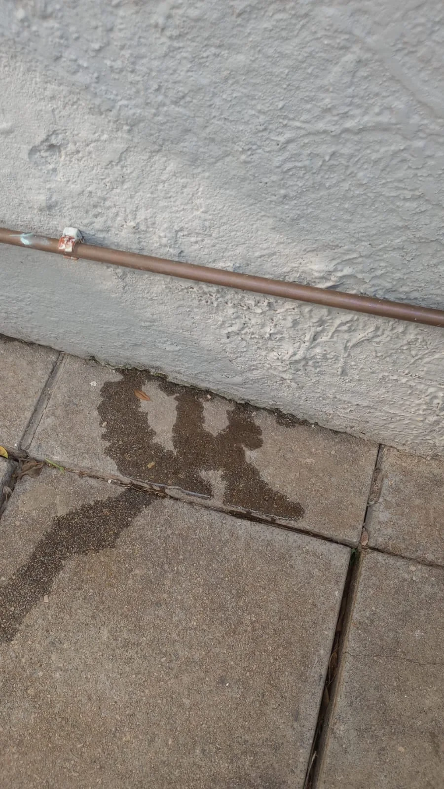 Typical Plumbing Problems in South Africa