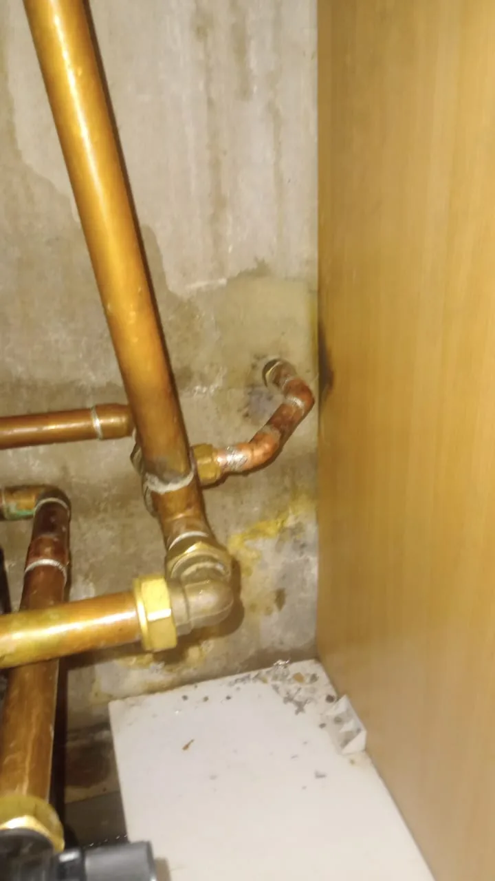Ultimate Home Plumbing Guide