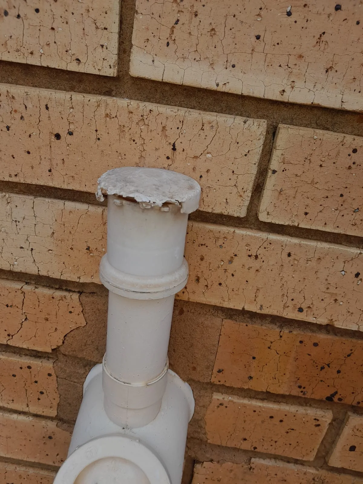 Can I fix a sewage smell myself? Can I fix a sewage smell myself?