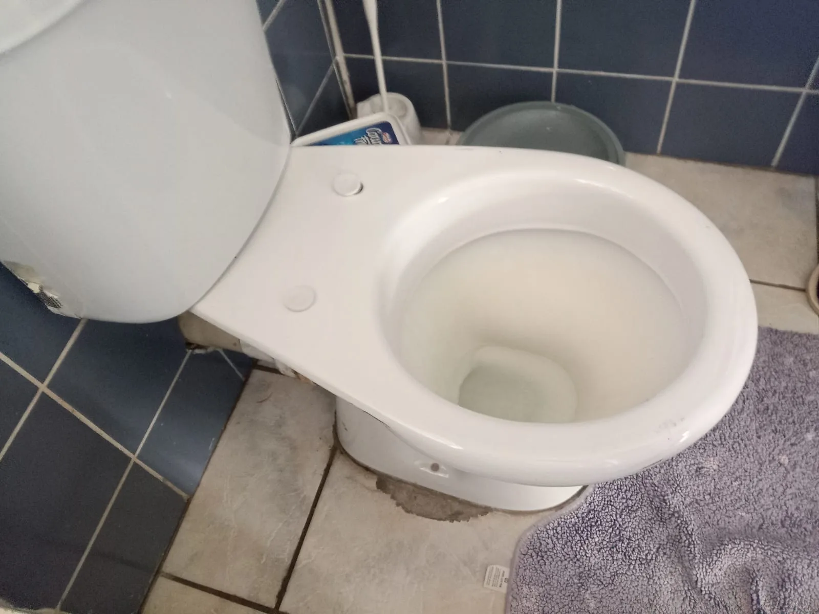How can I tell if my toilet is clogged? How can I tell if my toilet is clogged?