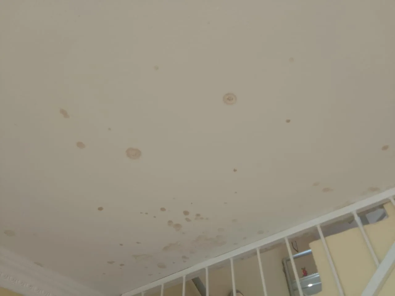 How do water leaks lead to mold and respiratory problems?
