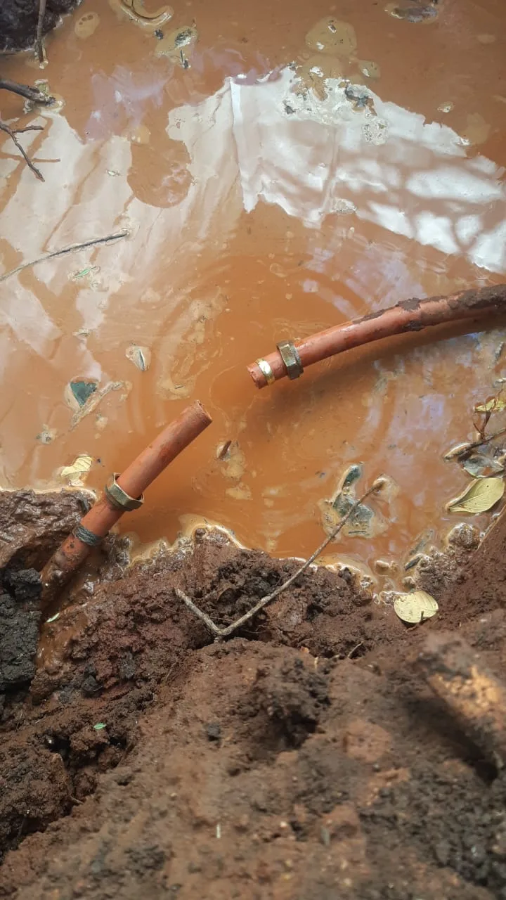 Signs You Have a Plumbing Emergency Signs You Have a Plumbing Emergency