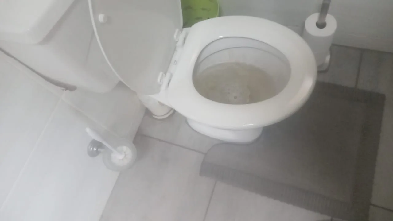 What should I do if my toilet is blocked? What should I do if my toilet is blocked?