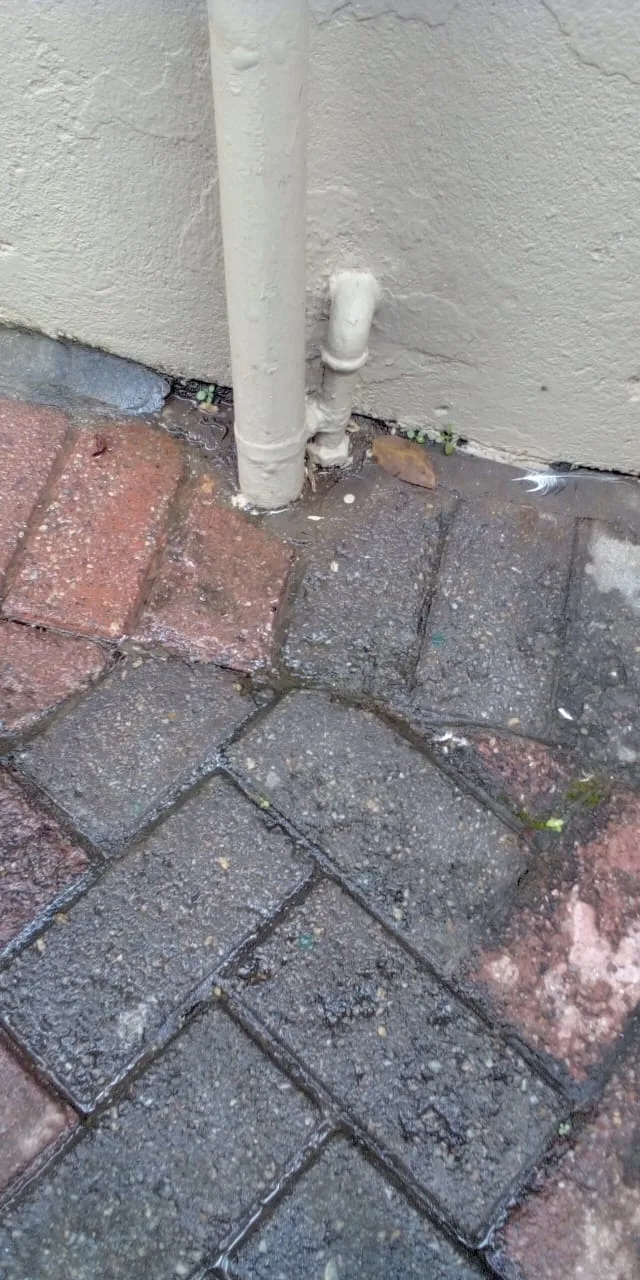 What to Do Before the Plumber Arrives What to Do Before the Plumber Arrives