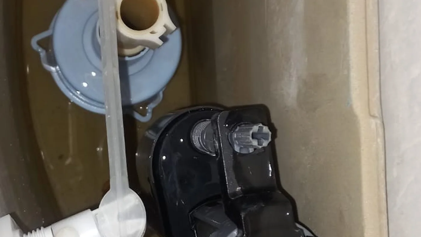 Affordable Plumber Linschoten Repairs Installations — Linschoten plumbing call-out Licensed plumber inspecting pipework and fixtures during a service visit in Linschoten — leaks, drains, geysers and emergency repairs assessed on site
