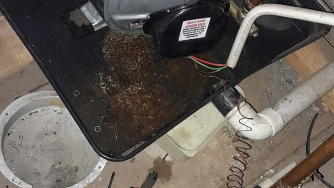 Affordable Plumber Morningside Hills Repairs Installations — Morningside Hills plumbing call-out Licensed plumber inspecting pipework and fixtures during a service visit in Morningside Hills — leaks, drains, geysers and emergency repairs assessed on site