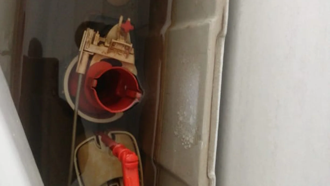 Affordable Plumber Thatchfield Repairs Installations — Thatchfield plumbing call-out Licensed plumber inspecting pipework and fixtures during a service visit in Thatchfield — leaks, drains, geysers and emergency repairs assessed on site
