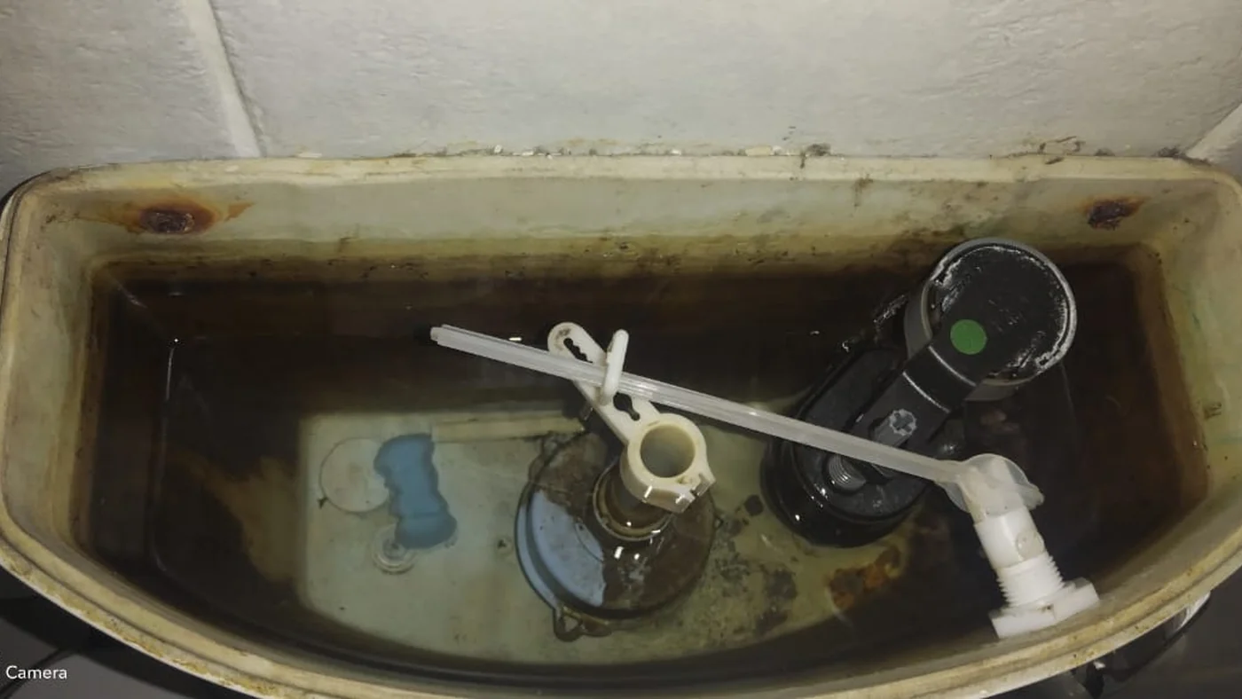 Affordable Plumber Webber Repairs Installations — Webber plumbing call-out Licensed plumber inspecting pipework and fixtures during a service visit in Webber — leaks, drains, geysers and emergency repairs assessed on site