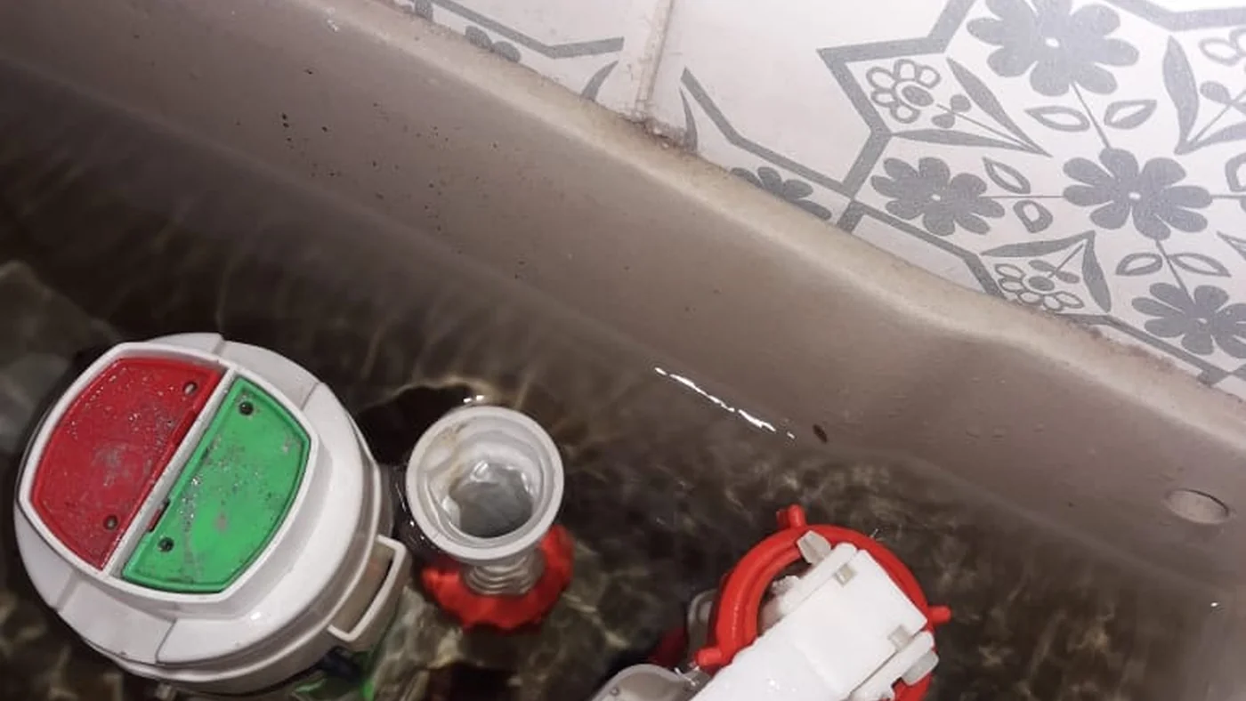 Best Plumber Ferguson Leaks Drains Geysers — Ferguson plumbing call-out Licensed plumber inspecting pipework and fixtures during a service visit in Ferguson — leaks, drains, geysers and emergency repairs assessed on site