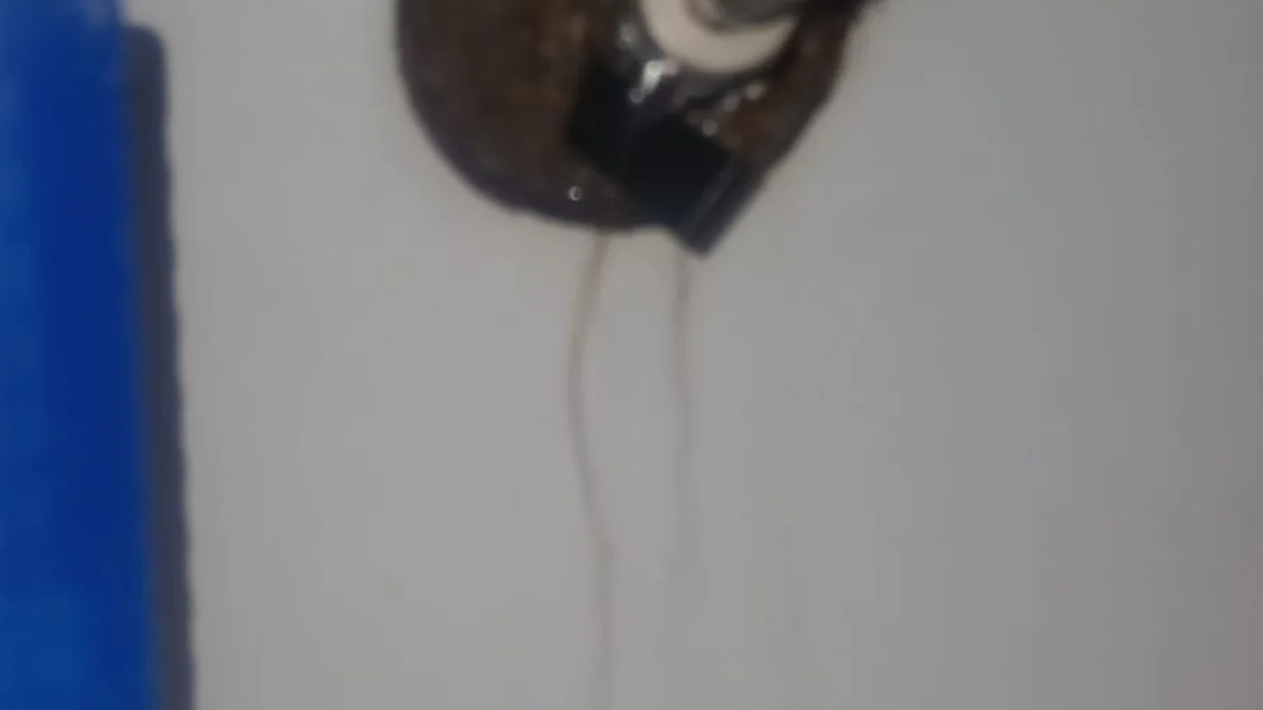 Best Plumber Kilberry Leaks Drains Geysers — Kilberry plumbing call-out Licensed plumber inspecting pipework and fixtures during a service visit in Kilberry — leaks, drains, geysers and emergency repairs assessed on site