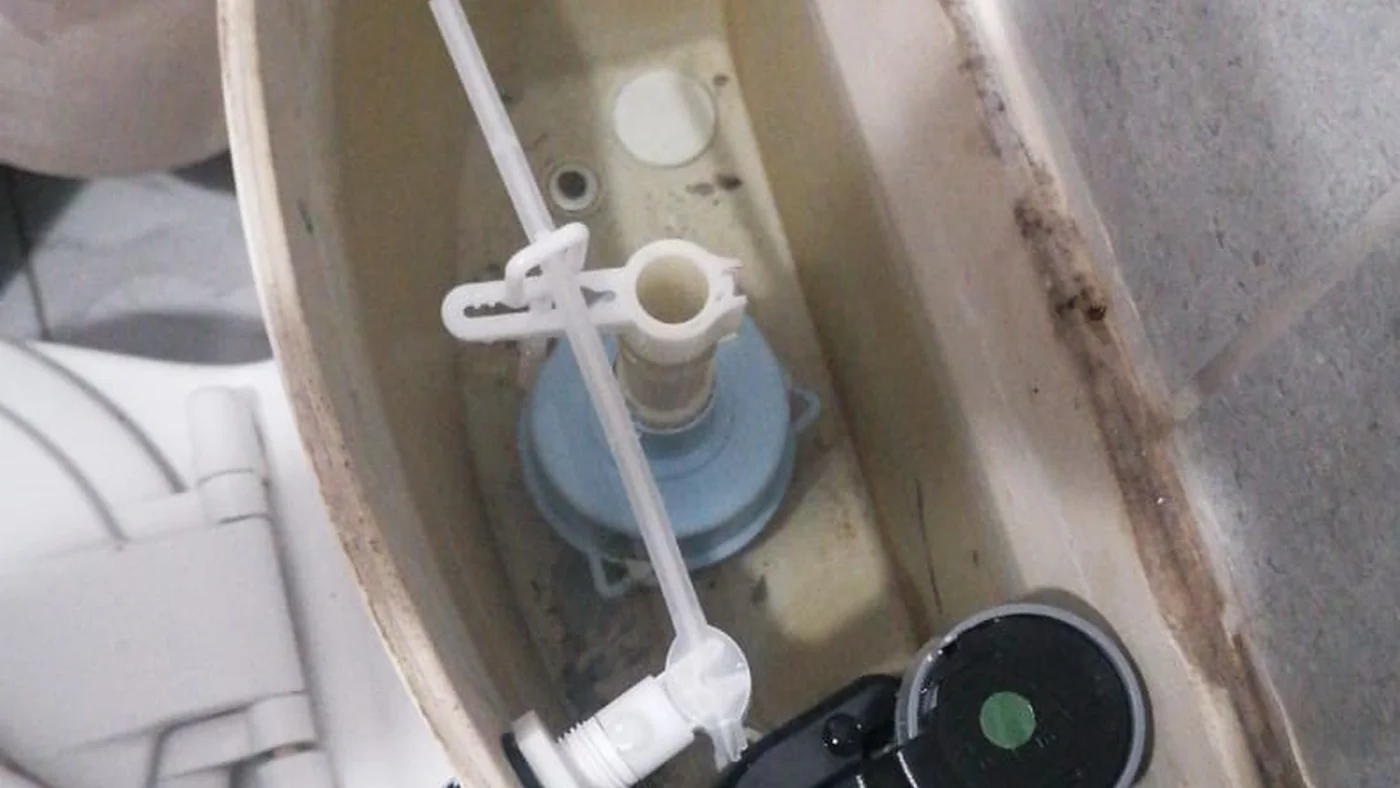 Best Plumber Langrant Leaks Drains Geysers — Langrant plumbing call-out Licensed plumber inspecting pipework and fixtures during a service visit in Langrant — leaks, drains, geysers and emergency repairs assessed on site