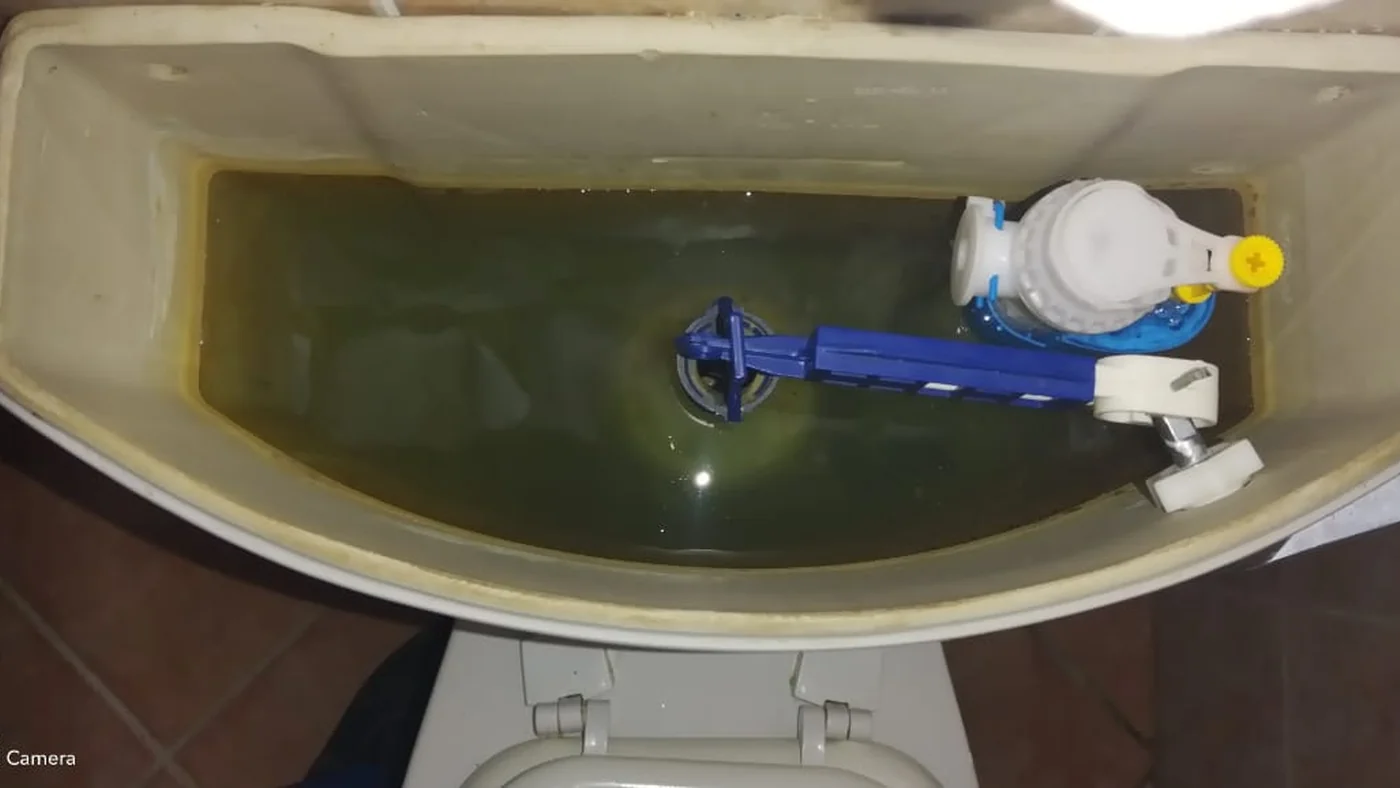 Best Plumber Twin Rivers Leaks Drains Geysers — Twin Rivers plumbing call-out Licensed plumber inspecting pipework and fixtures during a service visit in Twin Rivers — leaks, drains, geysers and emergency repairs assessed on site