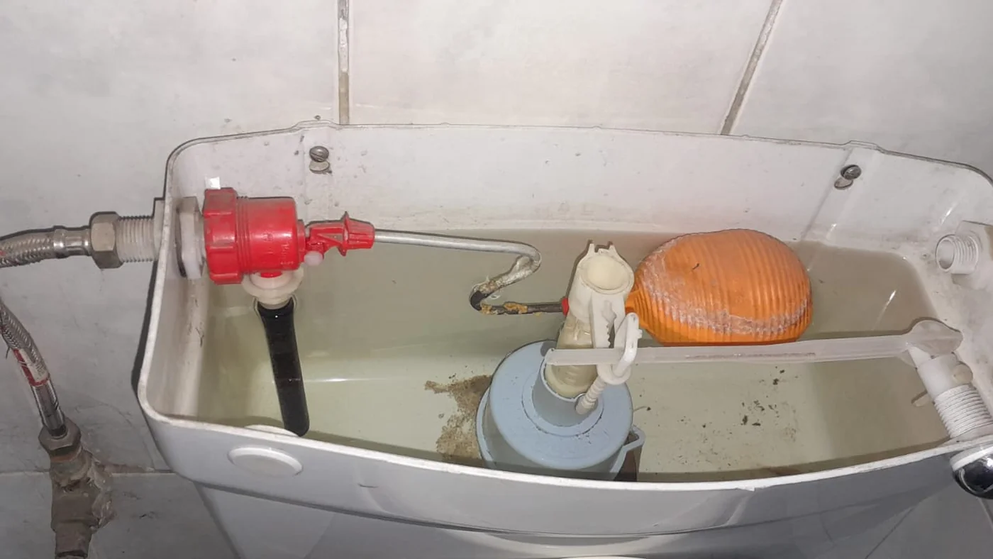 Buccleuch Plumbers Reliable Local Service — Buccleuch plumbing call-out Licensed plumber inspecting pipework and fixtures during a service visit in Buccleuch — leaks, drains, geysers and emergency repairs assessed on site