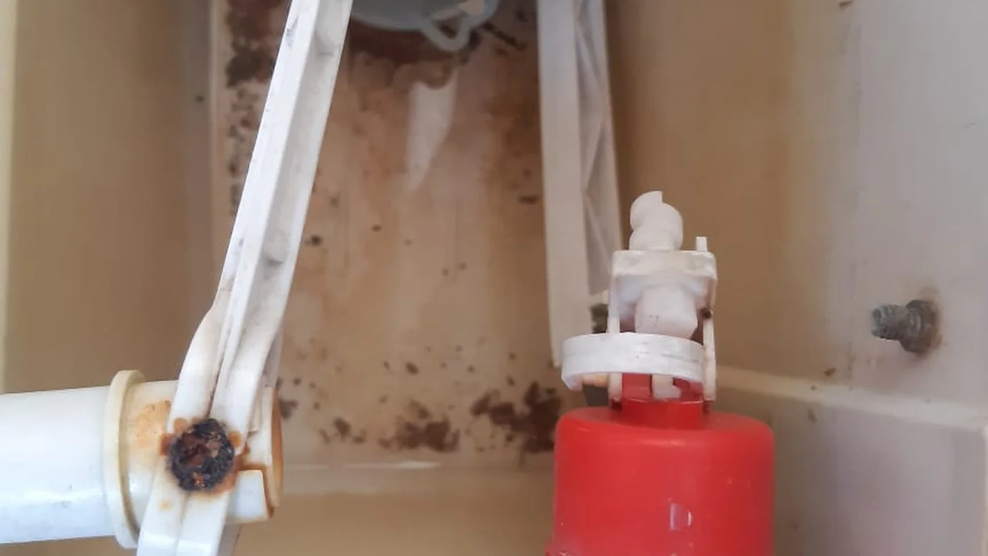 Eastgate Plumbing Services Call Trusted Plumbers — Eastgate plumbing call-out Licensed plumber inspecting pipework and fixtures during a service visit in Eastgate — leaks, drains, geysers and emergency repairs assessed on site