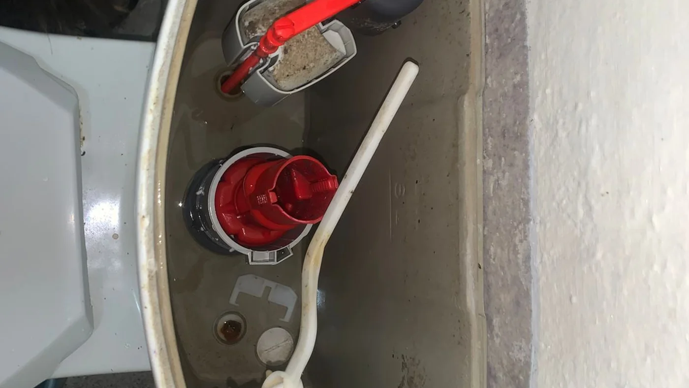 Emergency Plumber New Brighton 24 7 Local Experts — New Brighton plumbing call-out Licensed plumber inspecting pipework and fixtures during a service visit in New Brighton — leaks, drains, geysers and emergency repairs assessed on site