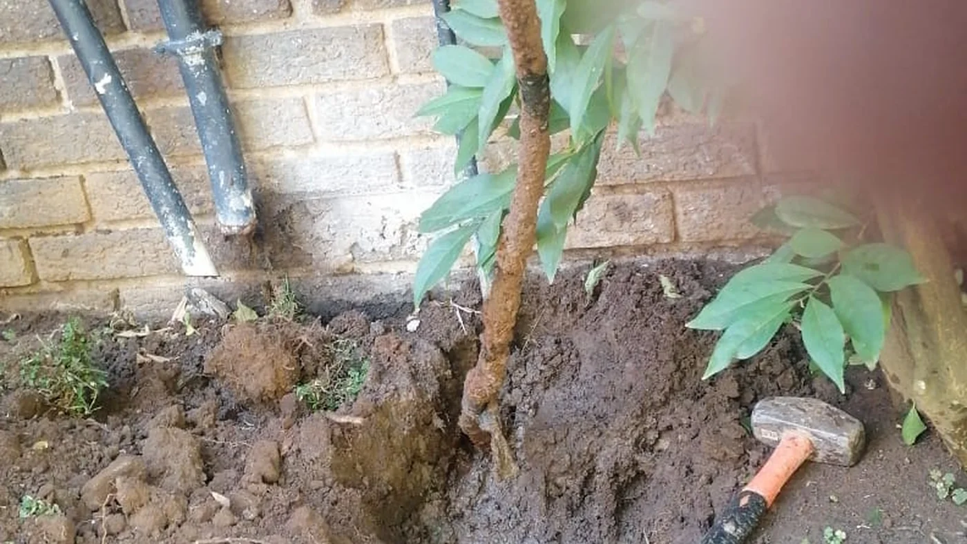 Forest Town Emergency Plumbers Same Day Help — Forest Town plumbing call-out Licensed plumber inspecting pipework and fixtures during a service visit in Forest Town — leaks, drains, geysers and emergency repairs assessed on site