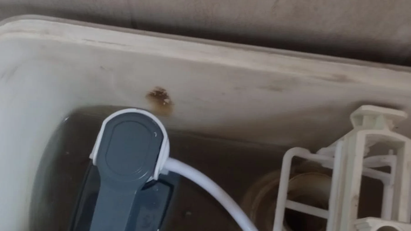 Home Lake Emergency Plumbers Same Day Help — Home Lake plumbing call-out Licensed plumber inspecting pipework and fixtures during a service visit in Home Lake — leaks, drains, geysers and emergency repairs assessed on site
