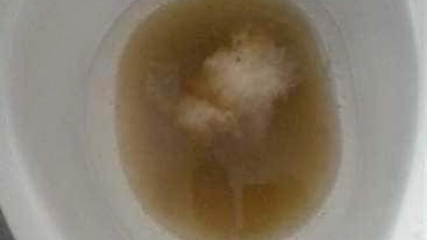 Irene Farm Estate Emergency Plumbers Same Day Help — Irene Farm Estate plumbing call-out Licensed plumber inspecting pipework and fixtures during a service visit in Irene Farm Estate — leaks, drains, geysers and emergency repairs assessed on site