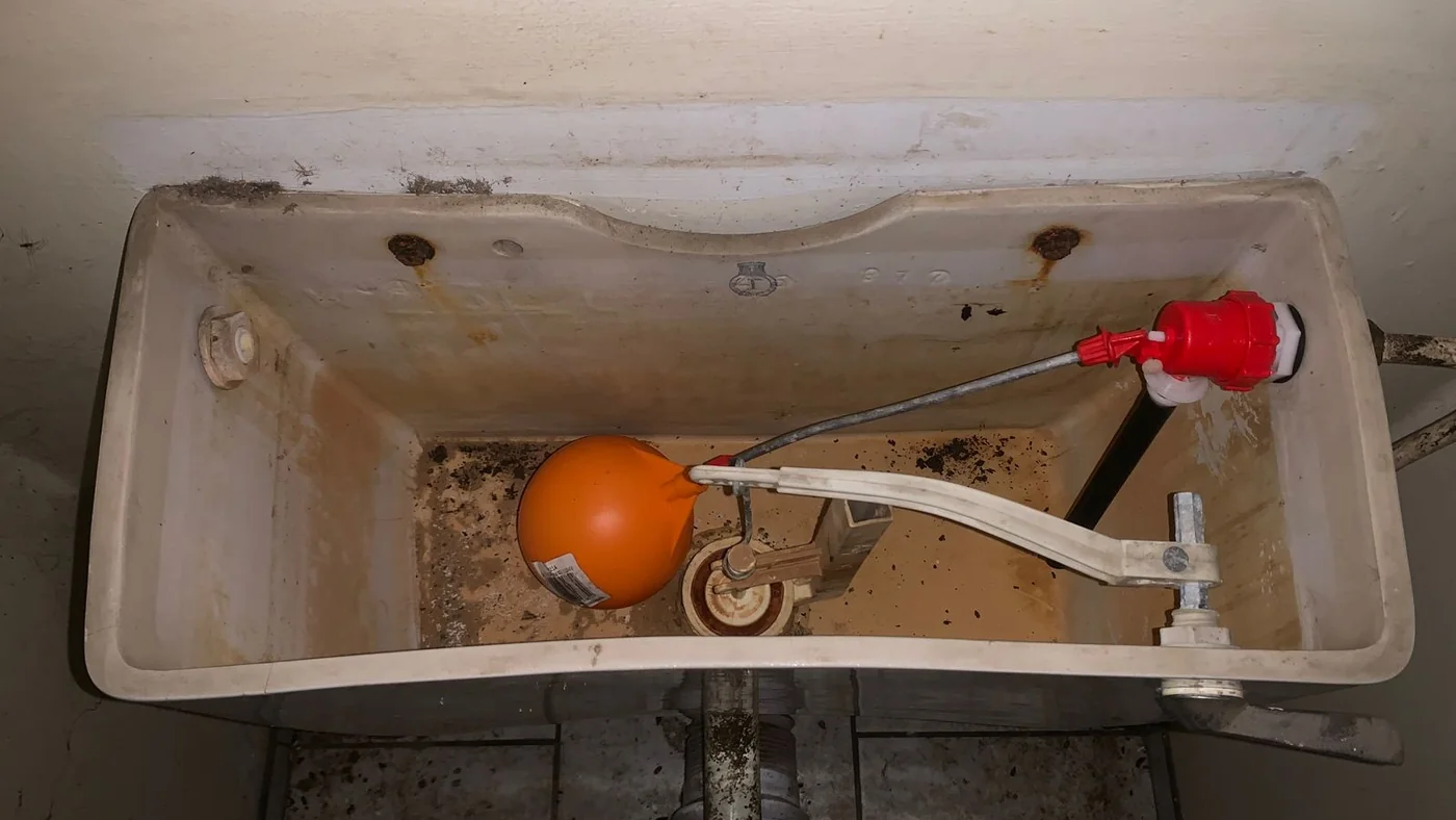 Local Plumber Droogebult Honest Quotes Fast Service — Droogebult plumbing call-out Licensed plumber inspecting pipework and fixtures during a service visit in Droogebult — leaks, drains, geysers and emergency repairs assessed on site