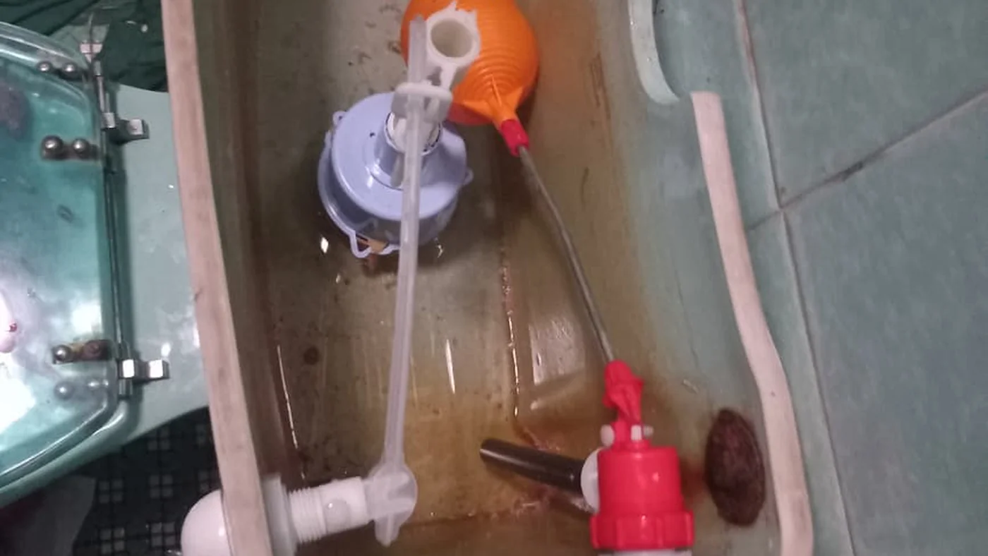 Moffat View Emergency Plumbers Same Day Help — Moffat View plumbing call-out Licensed plumber inspecting pipework and fixtures during a service visit in Moffat View — leaks, drains, geysers and emergency repairs assessed on site