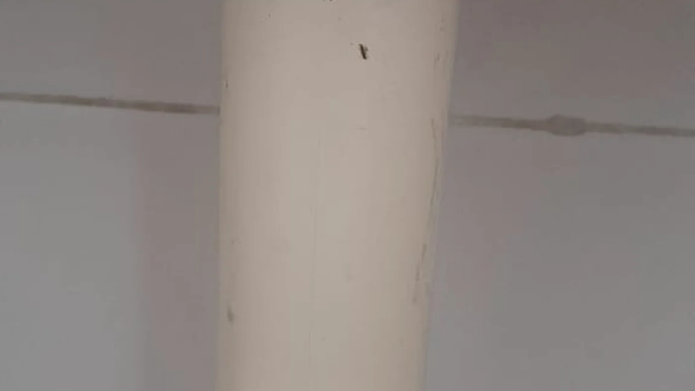 Paarlshoop Plumbers Reliable Local Service — Paarlshoop plumbing call-out Licensed plumber inspecting pipework and fixtures during a service visit in Paarlshoop — leaks, drains, geysers and emergency repairs assessed on site