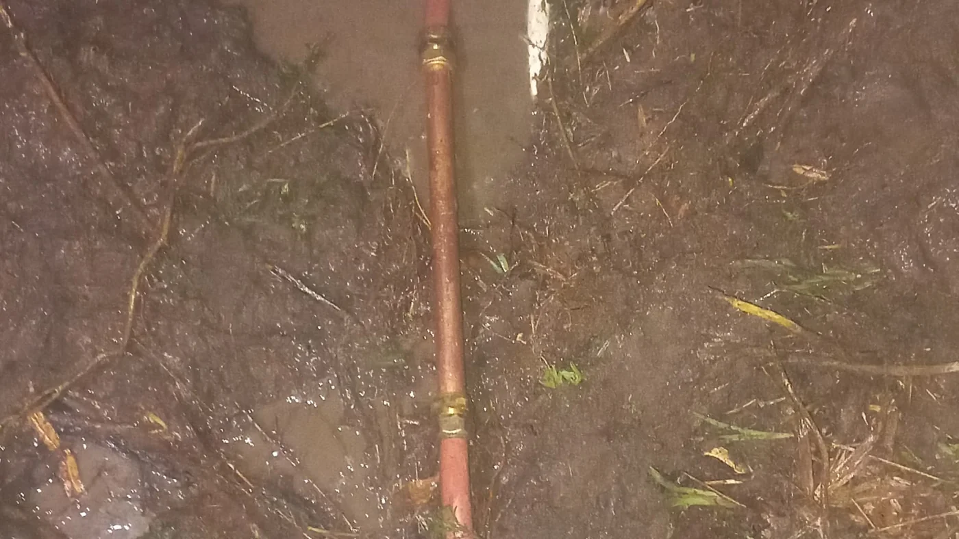 Pine Park Plumbers Reliable Local Service — Pine Park plumbing call-out Licensed plumber inspecting pipework and fixtures during a service visit in Pine Park — leaks, drains, geysers and emergency repairs assessed on site