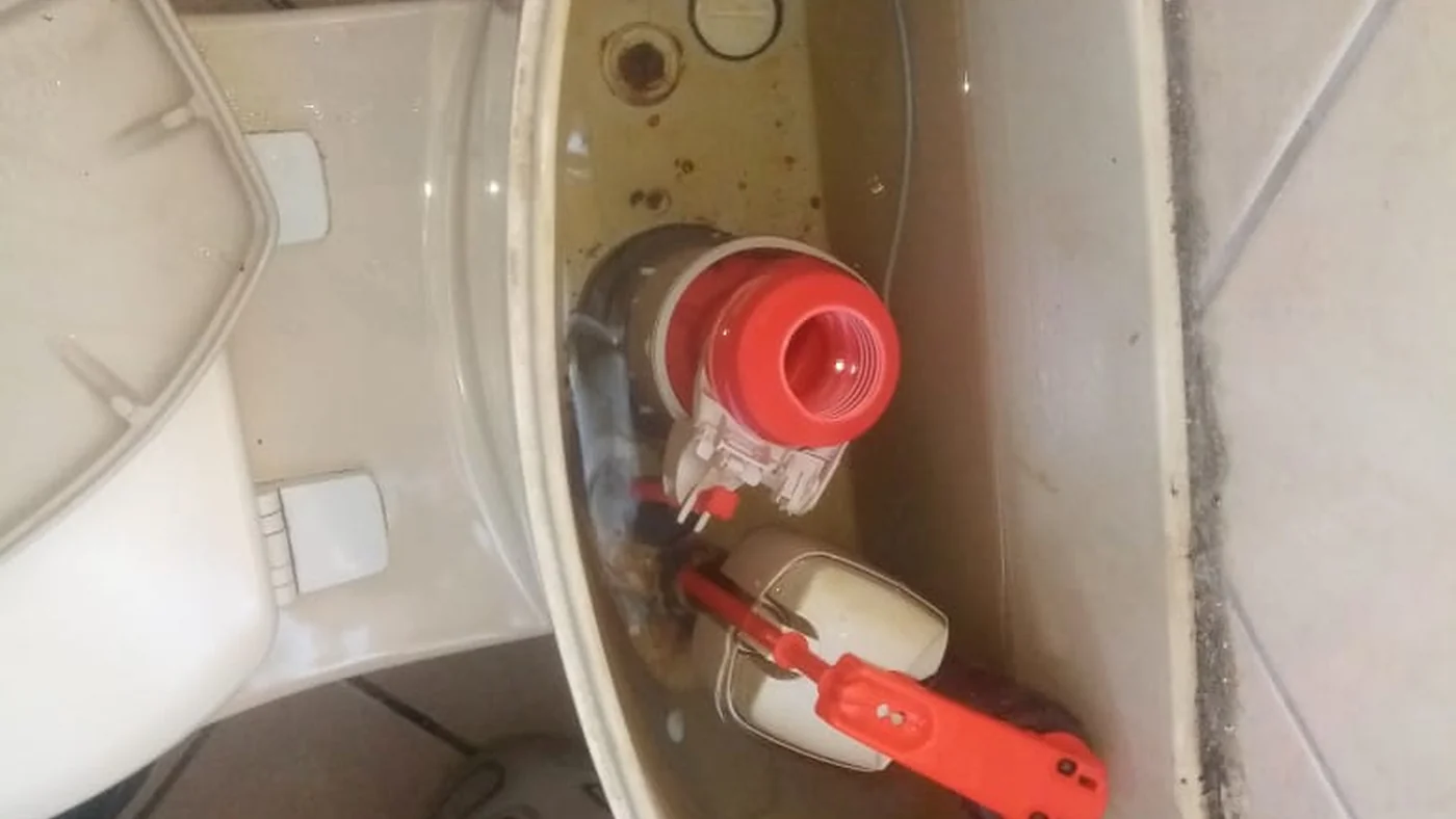 Queenshaven Emergency Plumbers Same Day Help — Queenshaven plumbing call-out Licensed plumber inspecting pipework and fixtures during a service visit in Queenshaven — leaks, drains, geysers and emergency repairs assessed on site