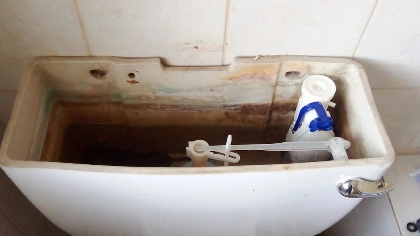 Radiokop Plumbers Reliable Local Service — Radiokop plumbing call-out Licensed plumber inspecting pipework and fixtures during a service visit in Radiokop — leaks, drains, geysers and emergency repairs assessed on site