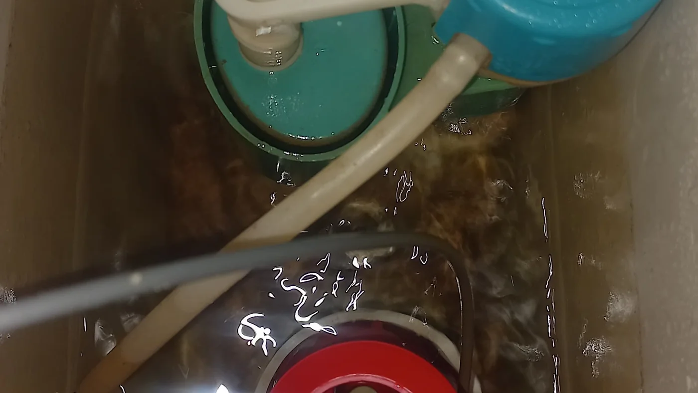Trusted Plumber Airdlin Fast Local Plumbing — Airdlin plumbing call-out Licensed plumber inspecting pipework and fixtures during a service visit in Airdlin — leaks, drains, geysers and emergency repairs assessed on site