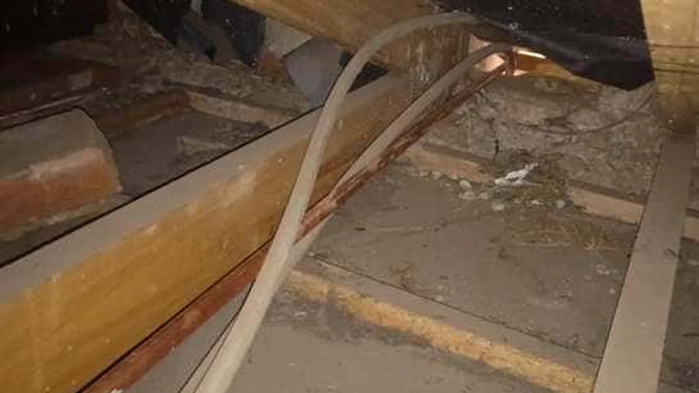 Trusted Plumber Cynthia Vale Fast Local Plumbing — Cynthia Vale plumbing call-out Licensed plumber inspecting pipework and fixtures during a service visit in Cynthia Vale — leaks, drains, geysers and emergency repairs assessed on site