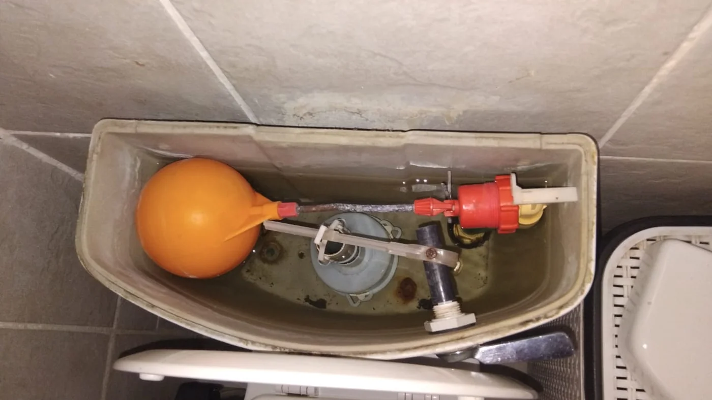 Trusted Plumber Hiltonia Fast Local Plumbing — Hiltonia plumbing call-out Licensed plumber inspecting pipework and fixtures during a service visit in Hiltonia — leaks, drains, geysers and emergency repairs assessed on site