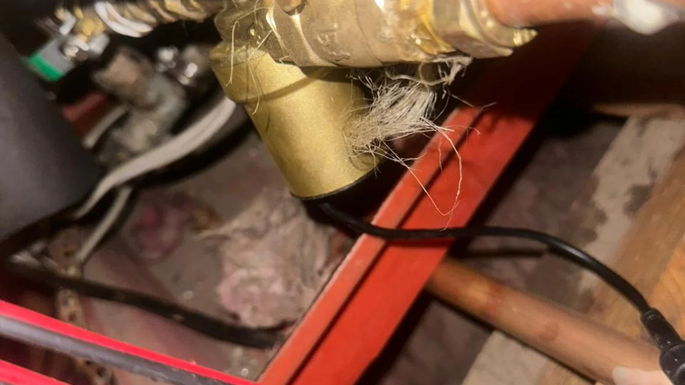 Trusted Plumber Laezonia Fast Local Plumbing — Laezonia plumbing call-out Licensed plumber inspecting pipework and fixtures during a service visit in Laezonia — leaks, drains, geysers and emergency repairs assessed on site