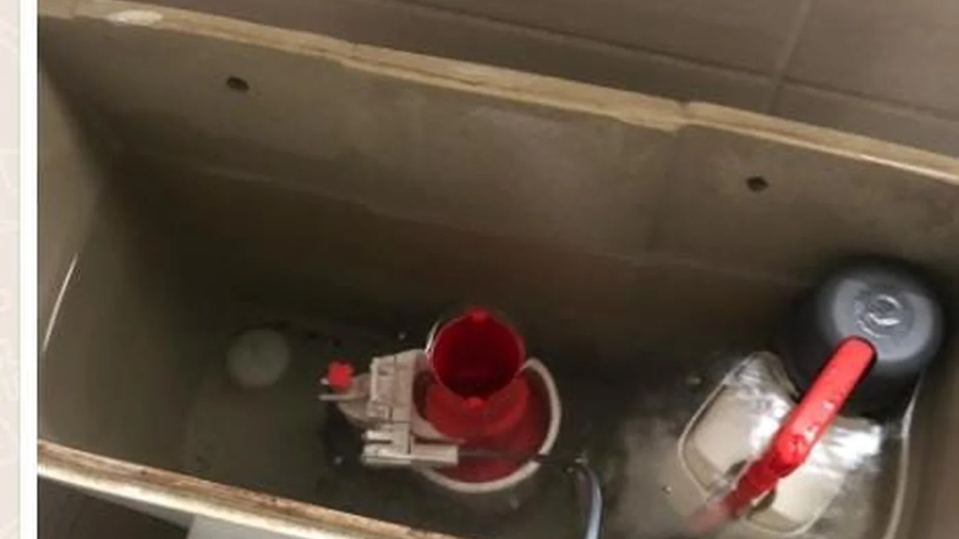 Tulipvale Emergency Plumbers Same Day Help — Tulipvale plumbing call-out Licensed plumber inspecting pipework and fixtures during a service visit in Tulipvale — leaks, drains, geysers and emergency repairs assessed on site