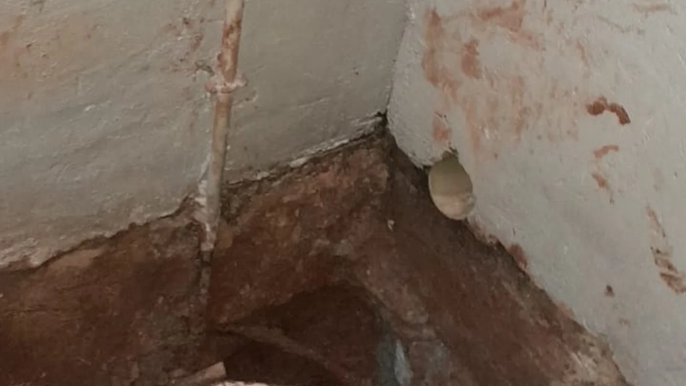Willow Acres Plumbers Reliable Local Service — Willow Acres plumbing call-out Licensed plumber inspecting pipework and fixtures during a service visit in Willow Acres — leaks, drains, geysers and emergency repairs assessed on site