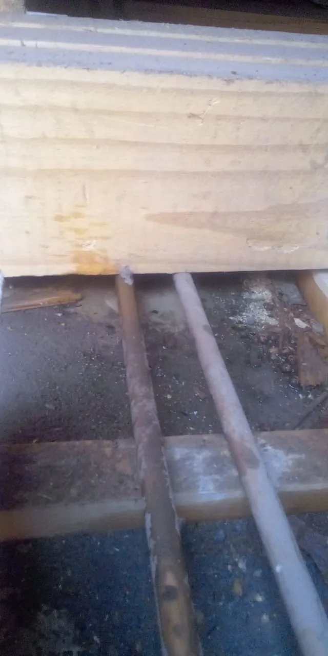 Local Plumbers Trusted for Honest Diagnostics — professional plumbing work 