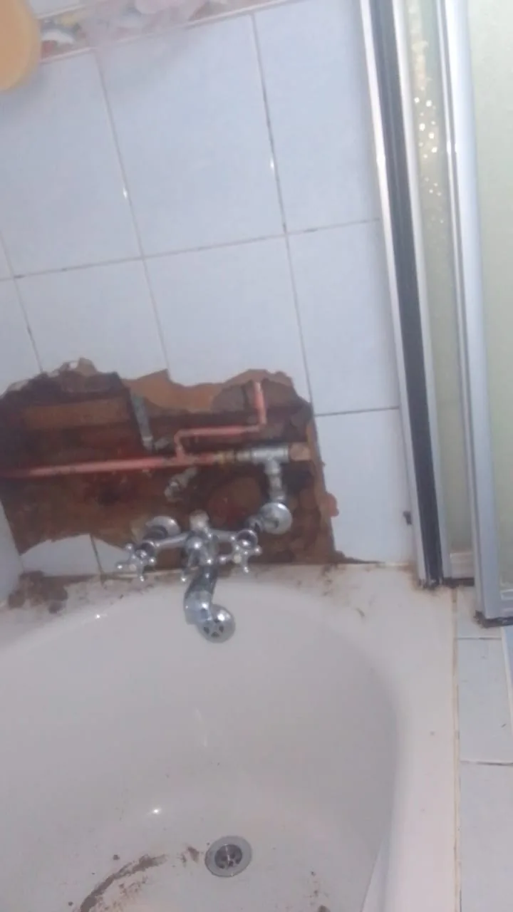 Local plumbers — on-site plumbing repair (local Plumbers Focused on Lasting Repairs, Not Quick Patches)