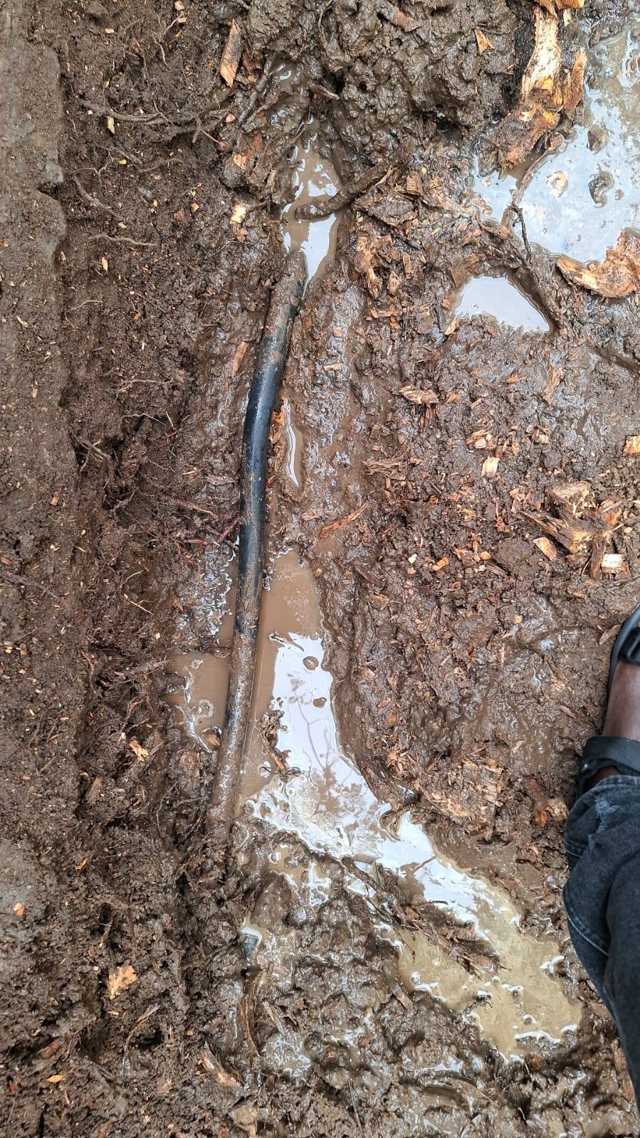 Brenthurst emergency plumber response