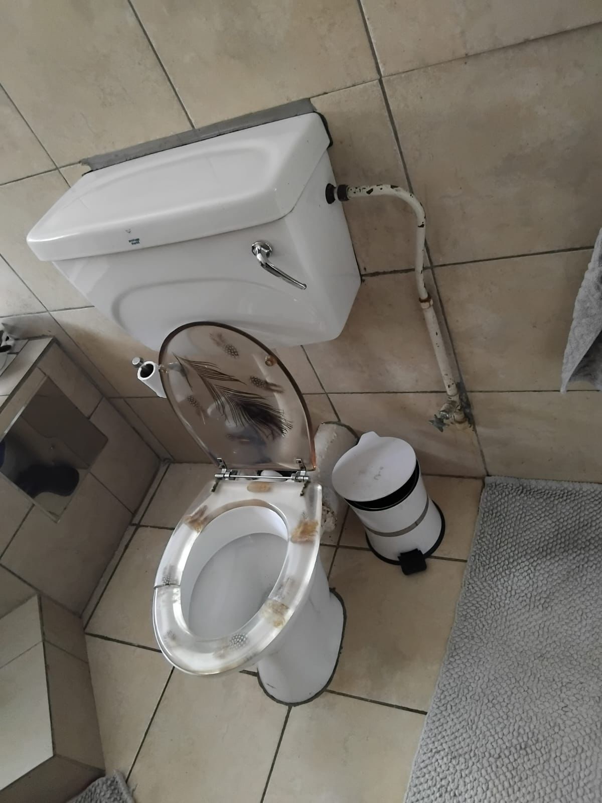 Jameson Park emergency plumber response