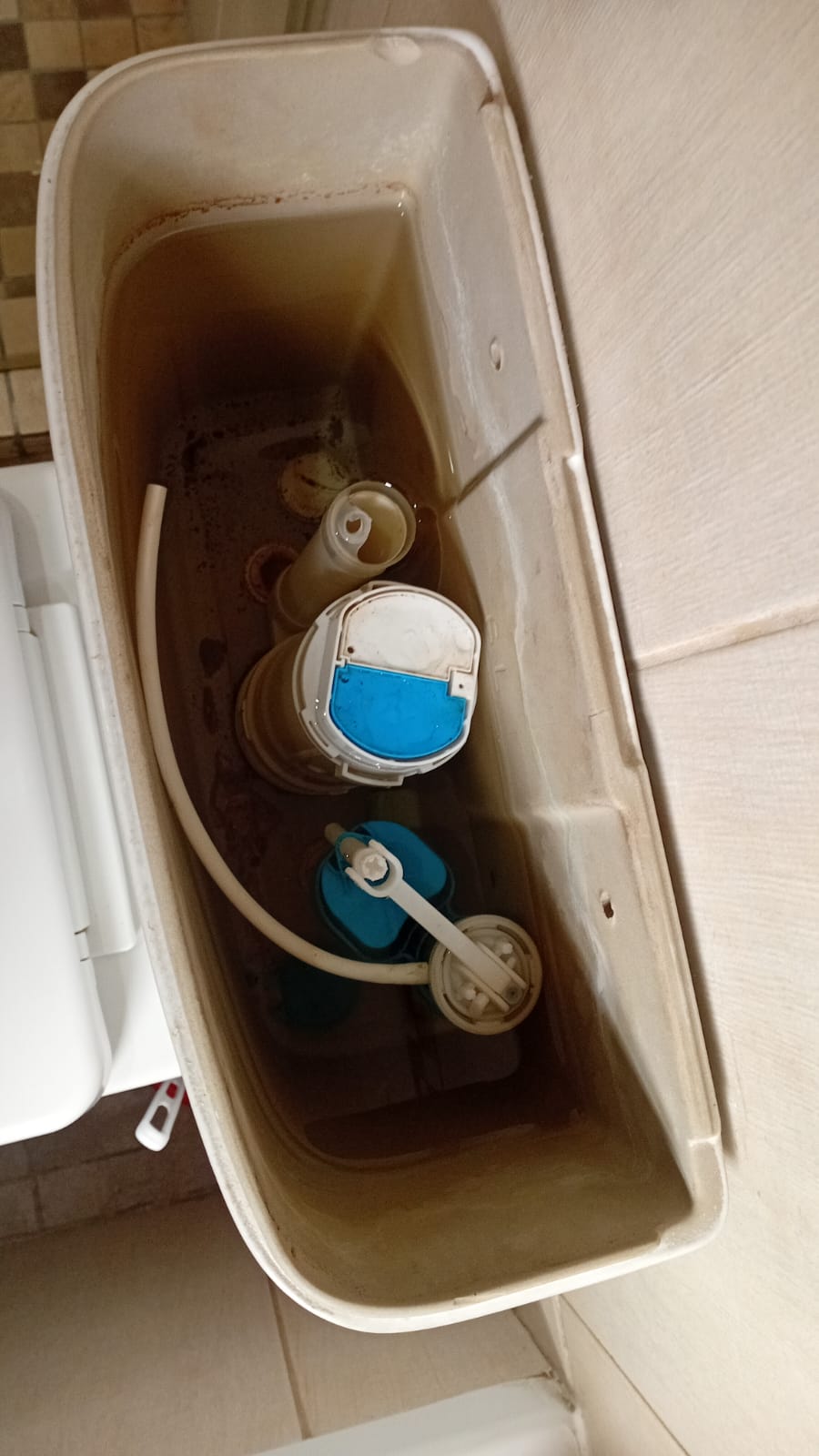 Local Blackheath plumbers from Plumb A Nator