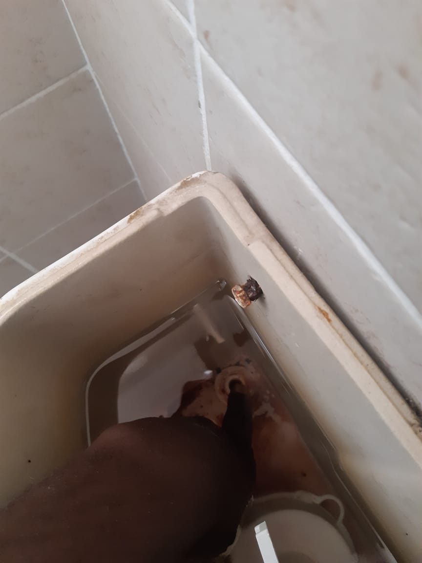 Local Boksburg plumbers from Plumb A Nator