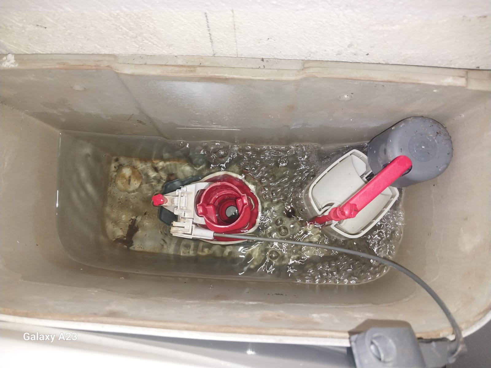Local plumbers from Plumb A Nator