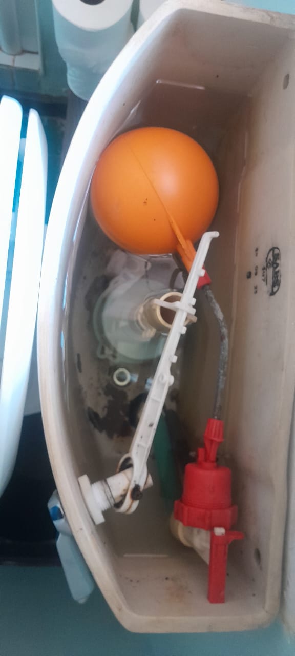 Local Bryanston plumbers from Plumb A Nator Local Bryanston plumbers from Plumb A Nator