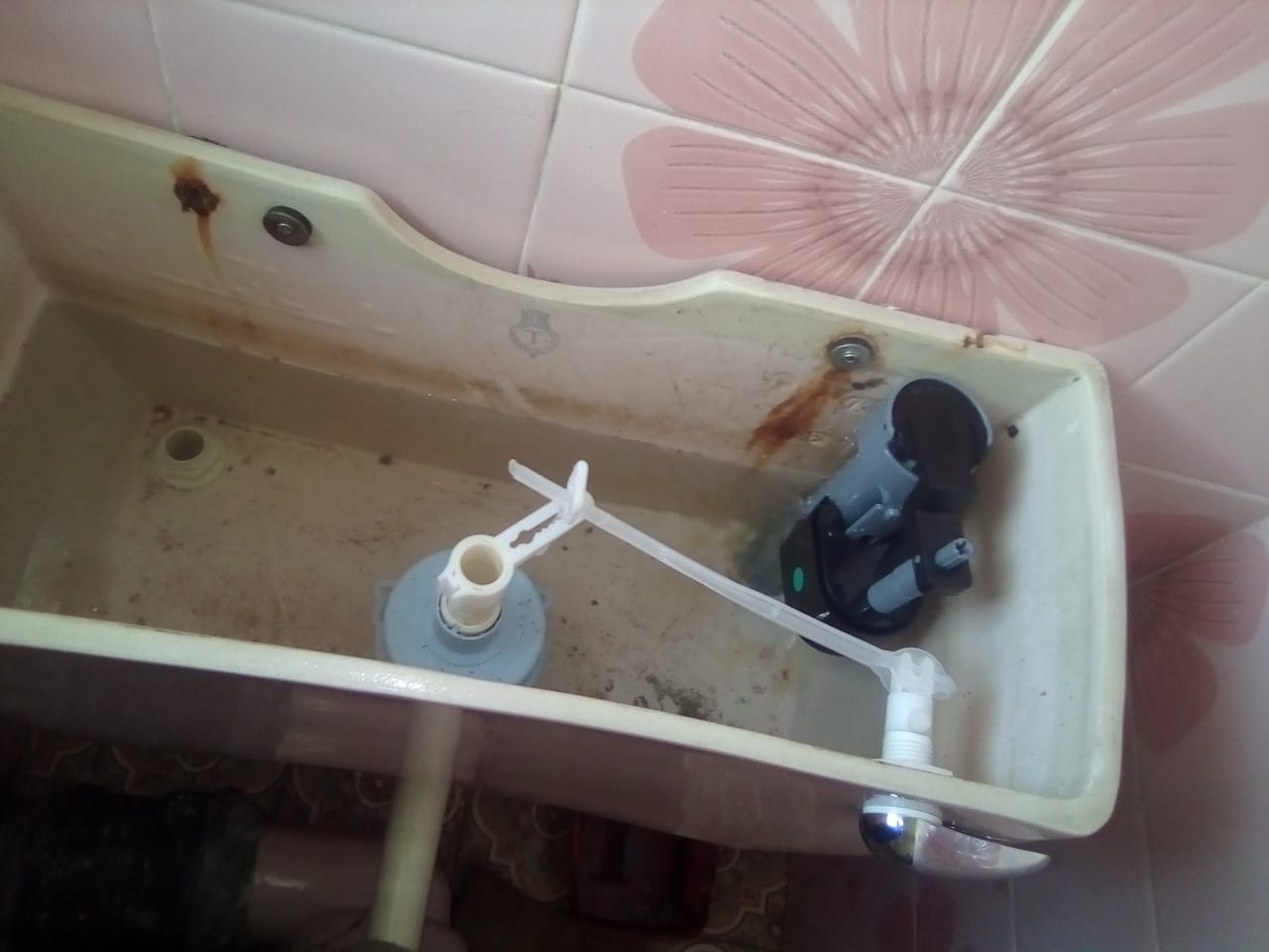 Local Constantia Park plumbers from Plumb A Nator Local Constantia Park plumbers from Plumb A Nator