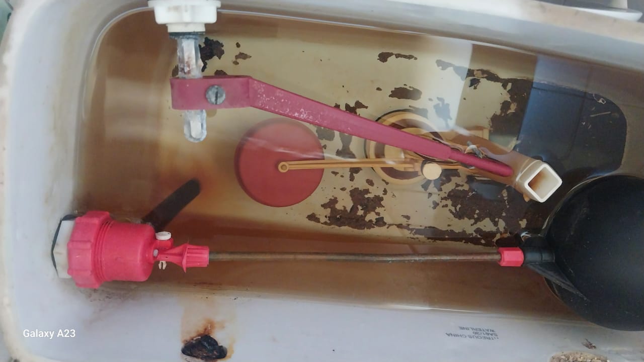 Local Craighall plumbers from Plumb A Nator