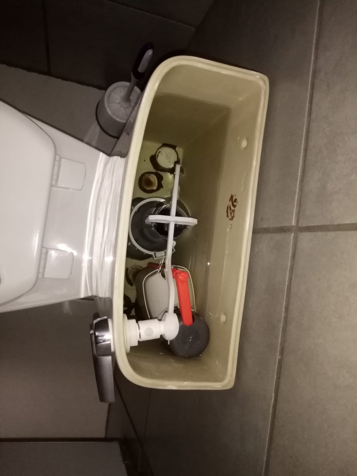 Local plumbers from Plumb A Nator
