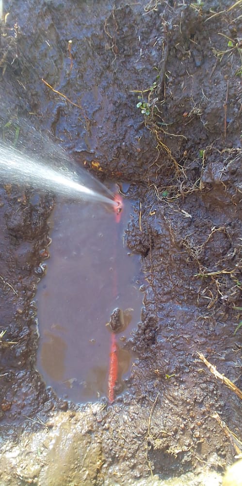 Local emergency plumber response