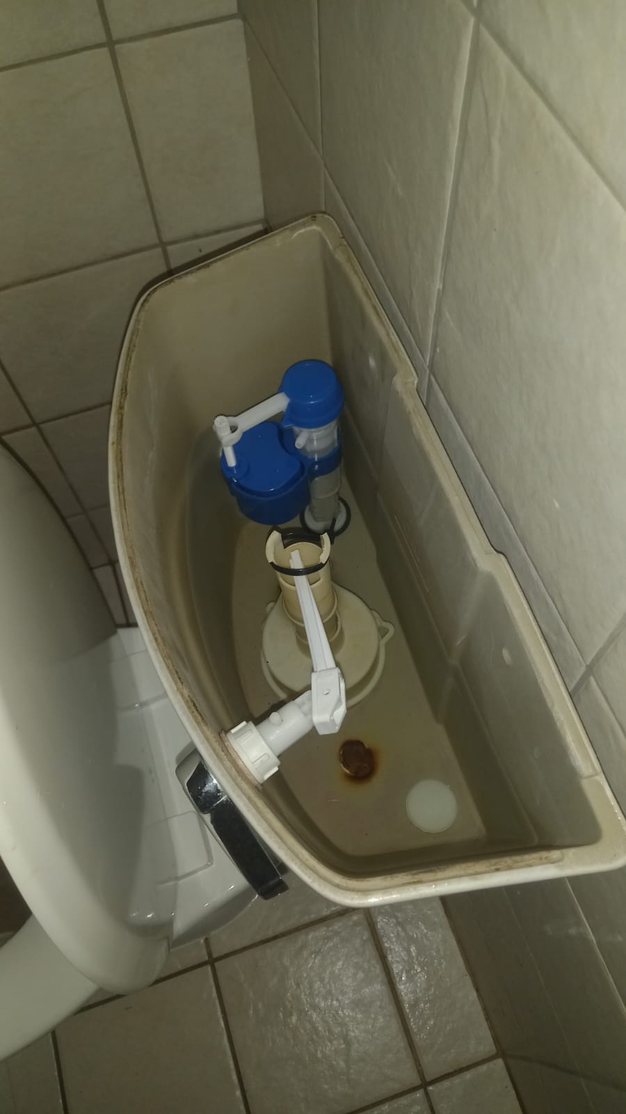 Local plumbers from Plumb A Nator